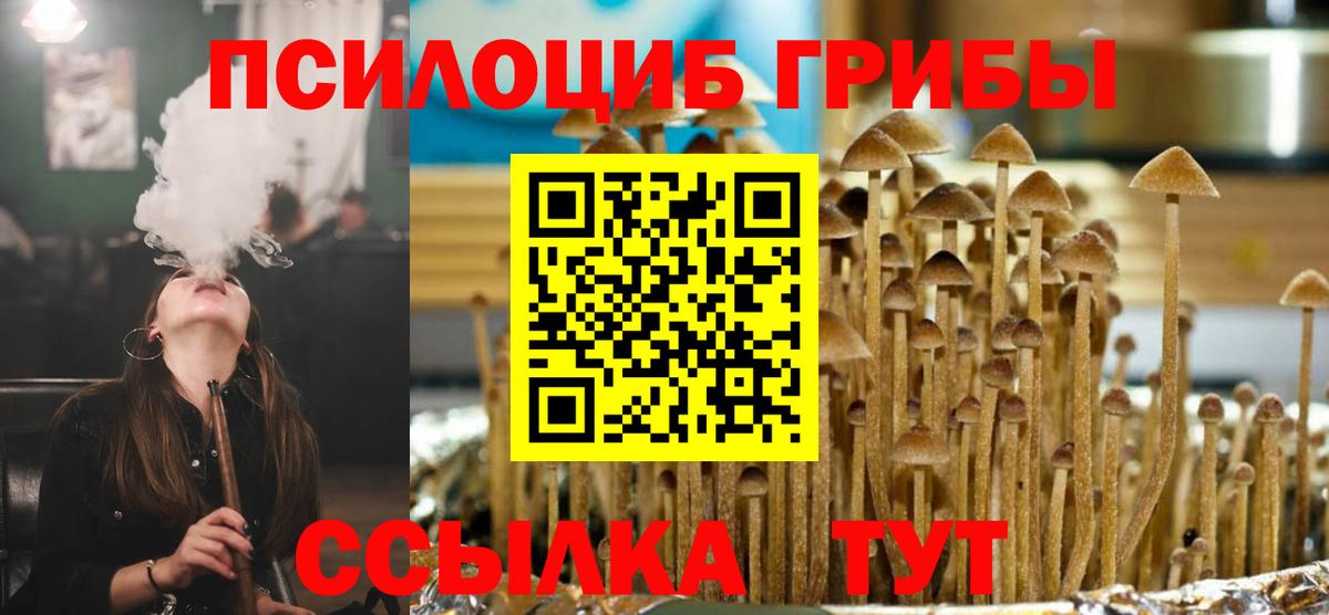 Псилоцибиновые грибы Psilocybine cubensis  Вход с VPN  где найти   Алексин 